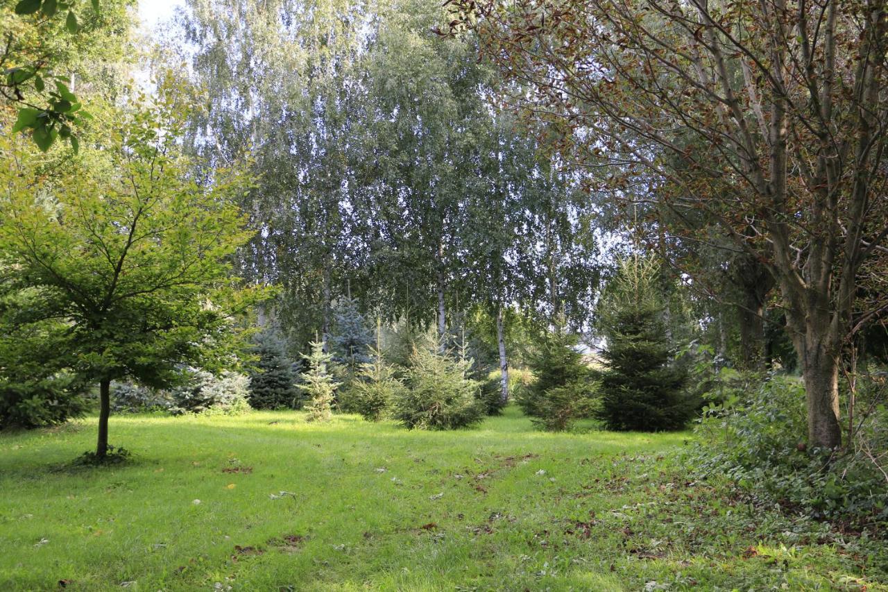 Agroturystyka Zulawiaczek Nowy Dwor Gdanski Ngoại thất bức ảnh