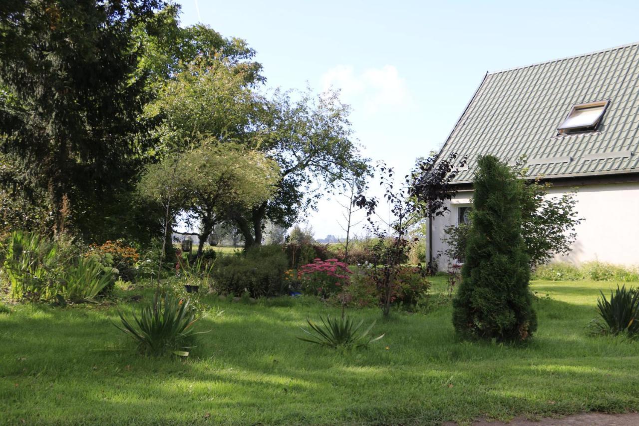 Agroturystyka Zulawiaczek Nowy Dwor Gdanski Ngoại thất bức ảnh