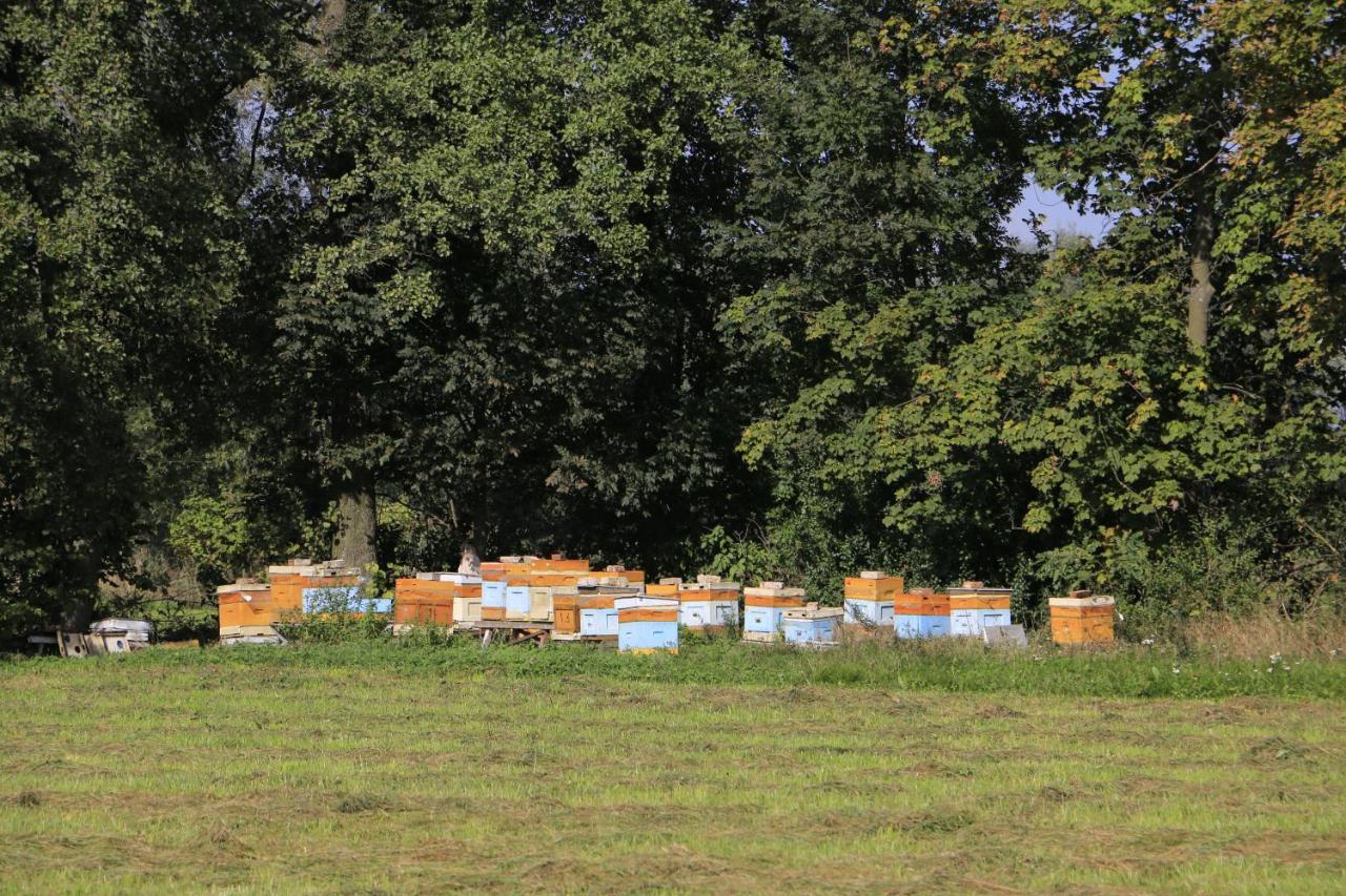 Agroturystyka Zulawiaczek Nowy Dwor Gdanski Ngoại thất bức ảnh