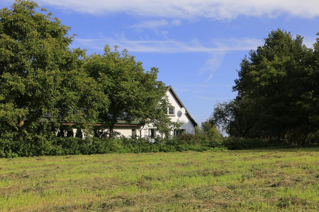 Agroturystyka Zulawiaczek Nowy Dwor Gdanski Ngoại thất bức ảnh